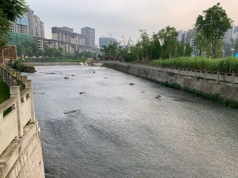 夹江县湿地公园