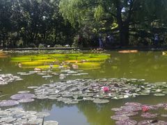 -国家植物园南园