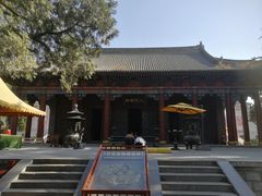 -黄帝陵