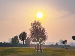 -汉长安城未央宫国家考古遗址公园