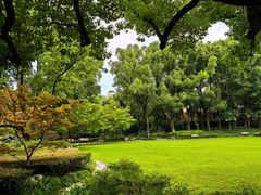 -申粤轩酒楼·三十年粤菜经典(丁香花园店)
