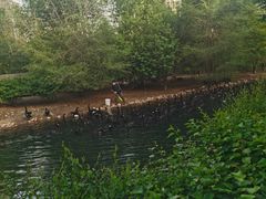 -长白岛森林公园