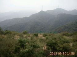 -窦王岭景区游乐场