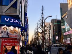 -秋叶原电器街