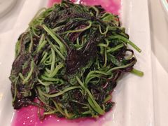 -川香楼酒家