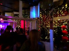 -拉斯维加斯永利酒店