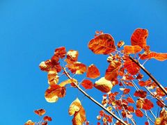 -中关村生命科学园