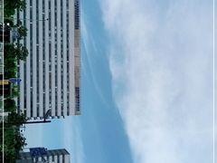-首都医科大学附属北京天坛医院