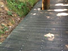 -井冈山革命烈士陵园