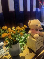 -琦品高端美容SPA会所