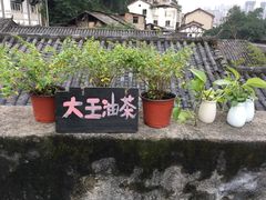 -大王油茶(磁器口店)