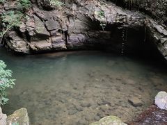 -江西阳明山国家森林公园