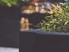 -M Stand(杭州工联CC店)