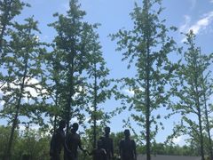 -东郊湿地公园
