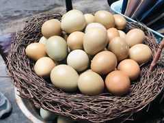 -振轩海鲜楼(墟沟海鲜城21号店)
