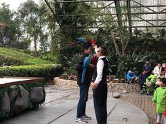 -东部华侨城
