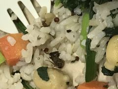 -SHUBO蔬小盒(三里屯店)