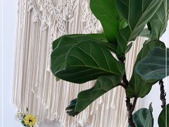 -AHAVA·Fang Baking Studio