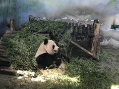 -无锡动物园·太湖欢乐园