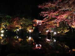 -醍醐寺