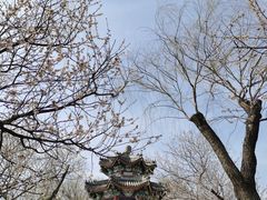 -颐和园