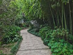 -汇龙潭