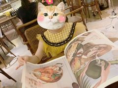 -来龙里 精致 东南亚餐室(万象城店)