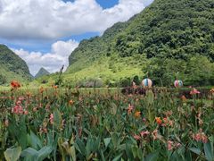 -靖西鹅泉风景区