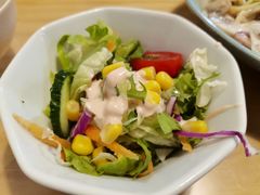 健康沙拉-红小满休闲餐厅(十全街店)