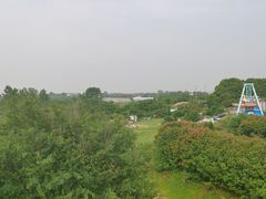 -武汉紫薇都市田园