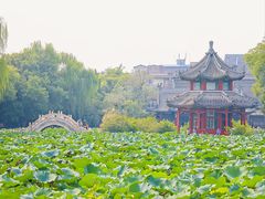 -莲池书院博物馆