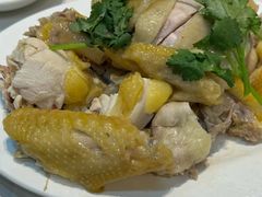 -文昌鸡饭店110号(中山路店)