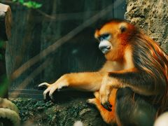 -石排湾郊野公园