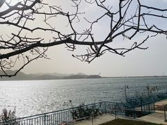 -望湖烤鱼
