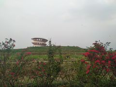 -光明小镇欢乐田园