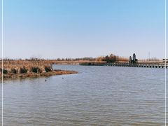 -宁波杭州湾国家湿地公园