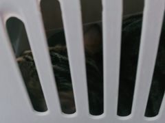 -佳雯宠物医院(金华南路分院)