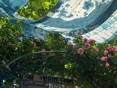 -HERRE·FARM 赫尔露营农场·团建聚会包场