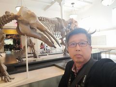 -美国自然历史博物馆