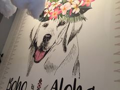 -拾光·小碗甜品