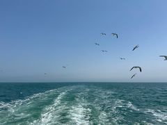 -海驴岛(荣成市)
