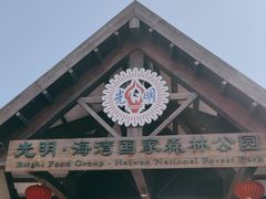 -上海海湾国家森林公园