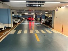 -厦门高崎国际机场T4航站楼-停车场