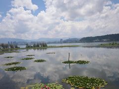 -洱海月湿地公园