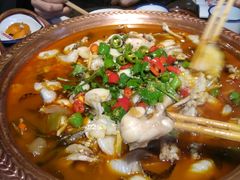 -沪小二炭火蛙锅(淮海中路美食不夜城店)