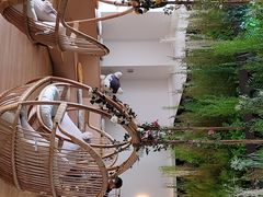 -Husky Go! 哈士奇体验馆·宠物咖啡厅狗咖