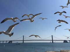 -星海湾跨海大桥