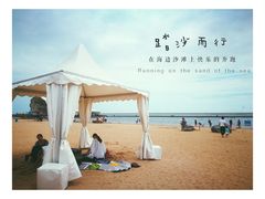 -碧海金沙