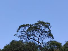 -罗浮山-南楼寺