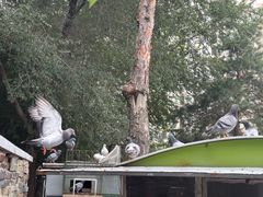 -长春公园(普阳街道)